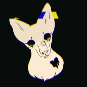 Meet your Posher, Stefosaurus